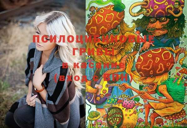 марки lsd Дмитриев