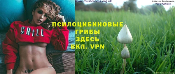 марки lsd Дмитровск