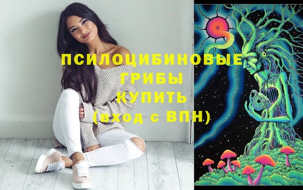 марки lsd Дмитриев
