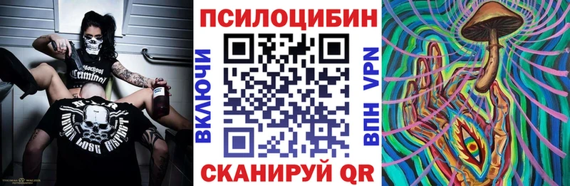 Галлюциногенные грибы мицелий  Купить где  Камешково 